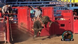 Jaripeo Cuevas De Michoacan V.s El Venadito (1080p)HD