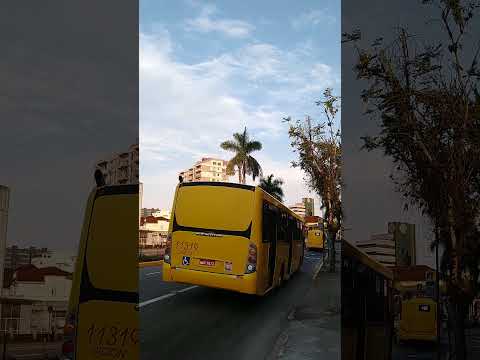 Joinville, a princesa de Santa Catarina!