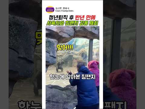정년퇴직 후 6개월만에 다시 만난 사육사와 침팬지의 감동재회#침팬지 #사육사 #감동영상 #재회