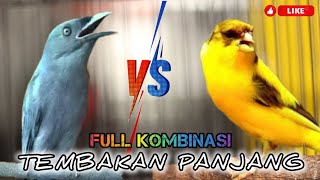Download lagu 🔴MASTERAN TEMBAKAN PANJANG KOMBINASI SRIGUNTING VS KENARI mp3