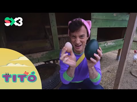 Excursió amb ous | Titó