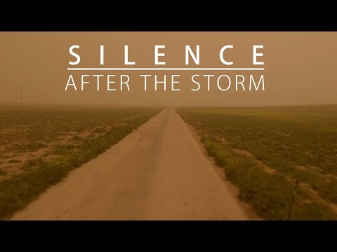 SILENCE AFTER THE STORM (Documentary Teaser #2)
