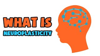 What is Neuroplasticity | Explained in 2 min