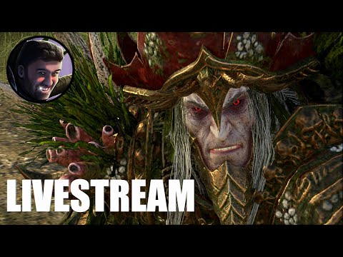 Noctilus Goes Home Campaign Livestream