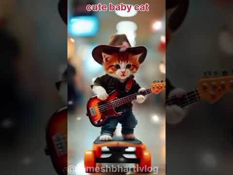 Cats baby funny dance video 🥰#cat #funny #shortsfeed #shorts #cat #short #viralshort