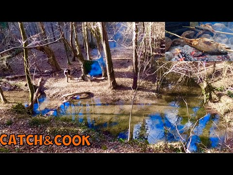 Wild Camping in Mountain Forest - Creek Fishing, Catch&Cook