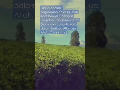 Jangan Menyerah #videoshort #trending