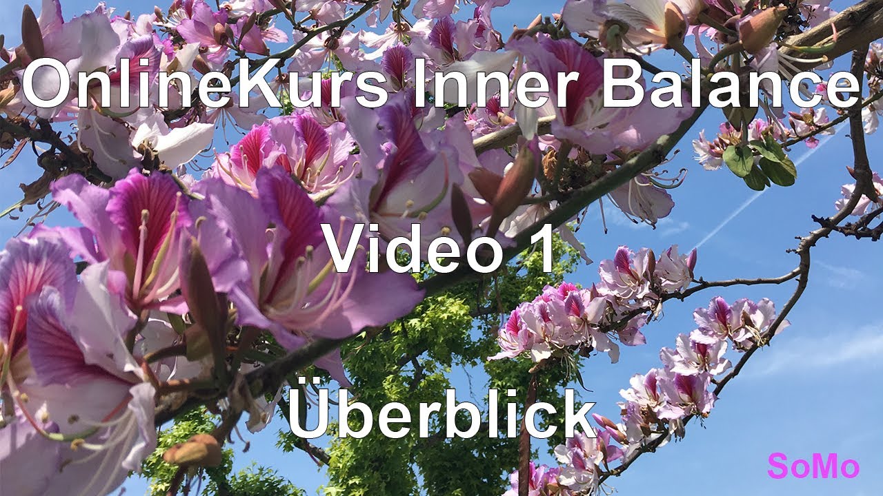 OnlineKurs Inner Balance | Video 1 | Überblick