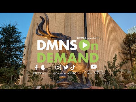 Science Division Live: Jones-Miller Collection