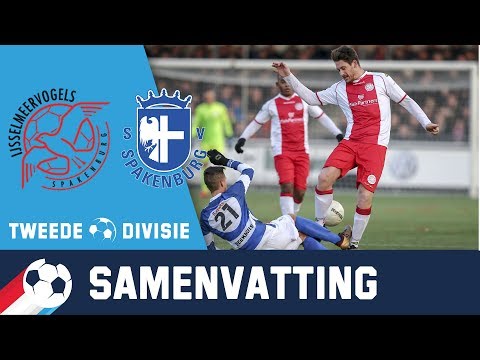 Samenvatting IJsselmeervogels - Spakenburg 19 januari 2019