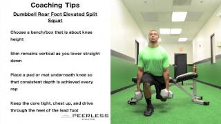 292. Dumbbell Rear Foot Elevated Split Squat