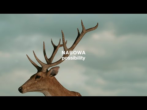 NABOWA |  possibility (Official Music Video)