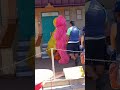 Big Bird Grover And Telly Meet And Greet Sesame Street Bay Of Play SeaWorld San Diego 2 13 2022