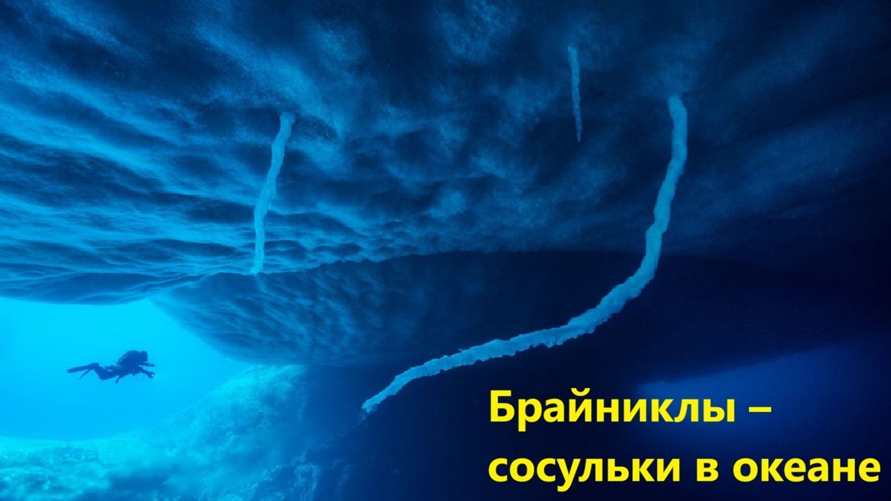 Брайниклы – сосульки в океане