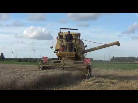 Landb. Van Damme - Eeklo - maaidorsen - Clayson M 135 en Clayson 1545