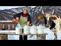 Making Homemade Cheese From Cow Milk Quiet Life In Faraway Village
