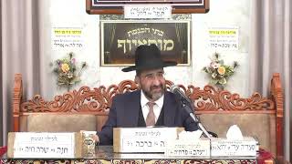 הרב אייל שרגא | פרשת כי תשא תשפ"ו | מוסאיוף (בית הכנסת מוסאיוף) - התמונה מוצגת ישירות מתוך אתר האינטרנט יוטיוב. זכויות היוצרים בתמונה שייכות ליוצרה. קישור קרדיט למקור התוכן נמצא בתוך דף הסרטון