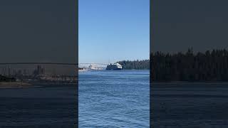 Celebrity Edge Horn