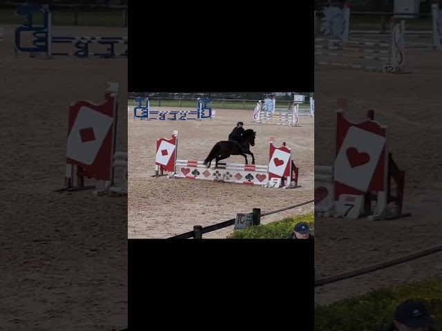 Poney PFS 5ans 