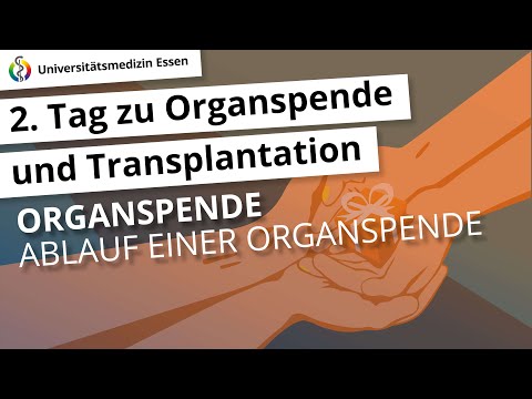 Ablauf einer Organspende