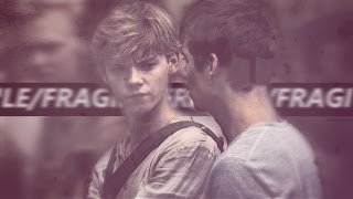 Newt &amp; Thomas ● Fragile