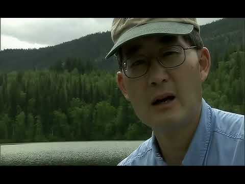 Brian Chan's Fly Fishing Tutorial  - Chironomid Intro