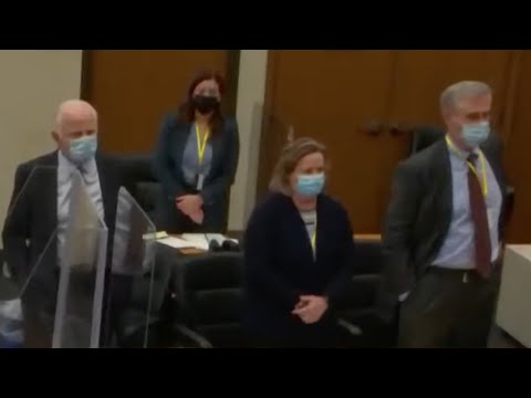 Day 9 of the Kimberly Potter trial