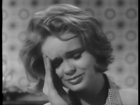 1960s Commercials Vol. 15 (5/2/1965)