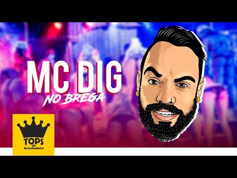 Mc Dig no Brega - Pra Paredão 2019 - CD Completo (Tops da Arrochadeira)