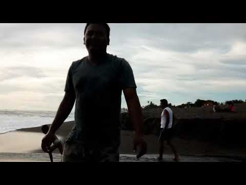 Danesh mandi di pantai seseh.