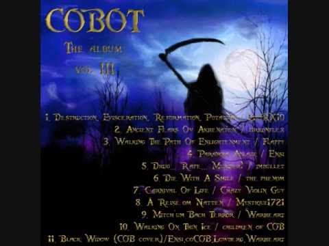 Carnival of Life (from COBOT Album vol. III)