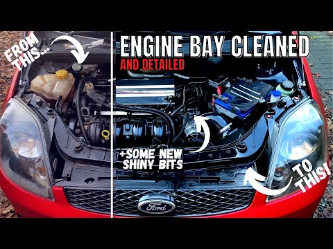 Engine Bay Clean, Detail & Dress-up on my MK6 Fiesta ST150