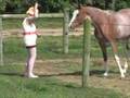 Nona Appleby In Pony Fetish