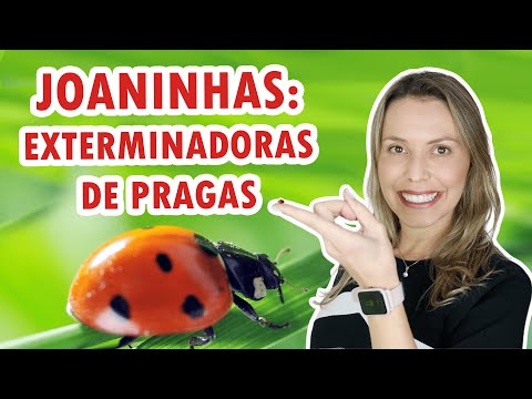 O que é CONTROLE BIOLÓGICO | Acabe com as pragas da sua horta | DICIONÁRIO DO AGRO