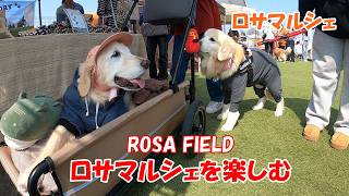 【感謝】ロサマルシェで、たくさんの方に声をかけていただけて嬉しかったです。ありがとうございました。