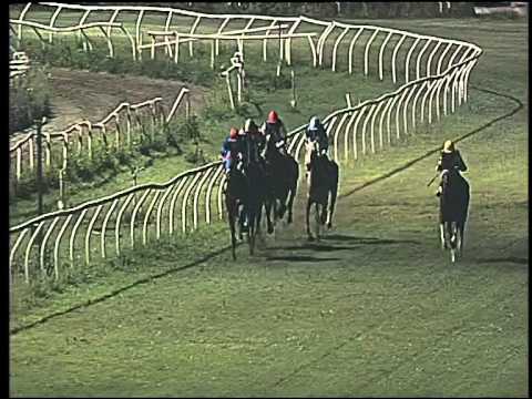 Galoppo 01/07/2015 - 6° corsa