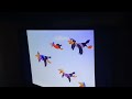 Closing To Dumbo 1991 VHS