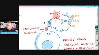 5 Mechanisms of ADE (How Does Antibody Dependent Enhancement Occur?)