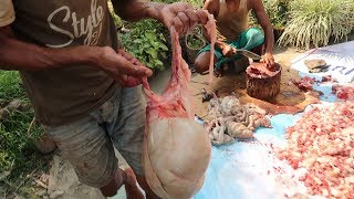 Pig Intestines Cleaning Technique by Bodo People