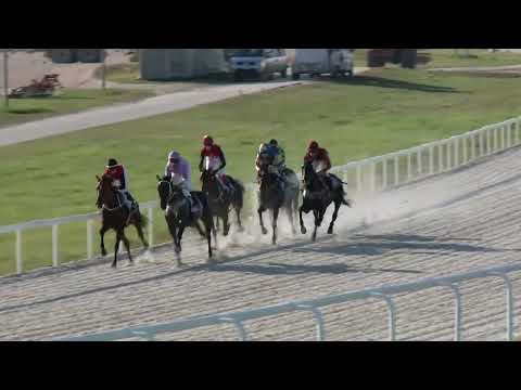 2022.10.16. 06. futam - NYERETLENEK VERSENYE (V.kat.) (szintetikus pálya)