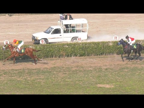 7th Race The Derby Trials Distance 2000 Meters Winner Spartacus ( Pakistan Horse Racing ) ( Bilal )
