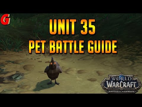 Unit 35 Pet Battle Guide - BFA