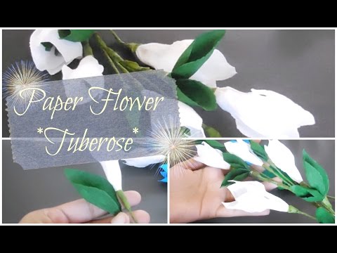 Paper flower - How to make tuberose paper flower - Craft for kids