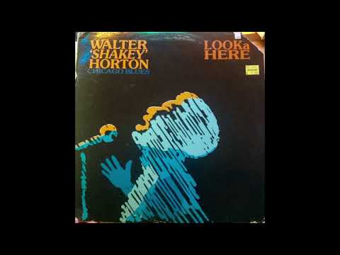 Walter 'Shakey' Horton – Turkey In The Straw