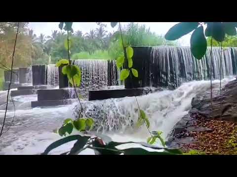 peaceful nature 💚🌿