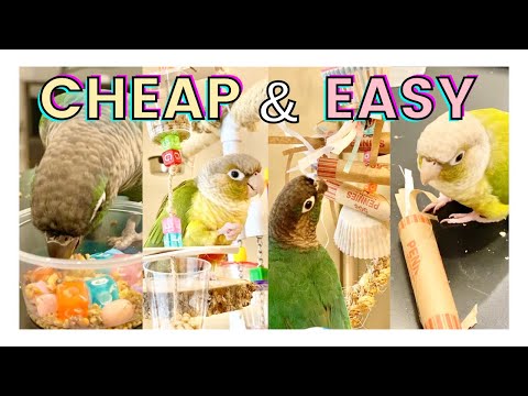 image-Are wooden toys safe for budgies?