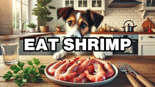 Can Dogs Eat Shrimp Explained
