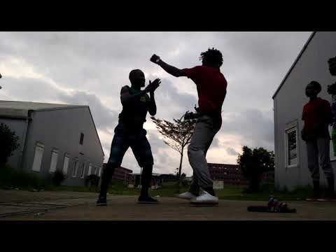 LES K.S.D.CREW de KEN DE LA VITESSE LA NEWNTCHAMVITESE appelé la TENDANCIEUSE