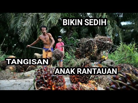 Tangisan Anak Rantauan