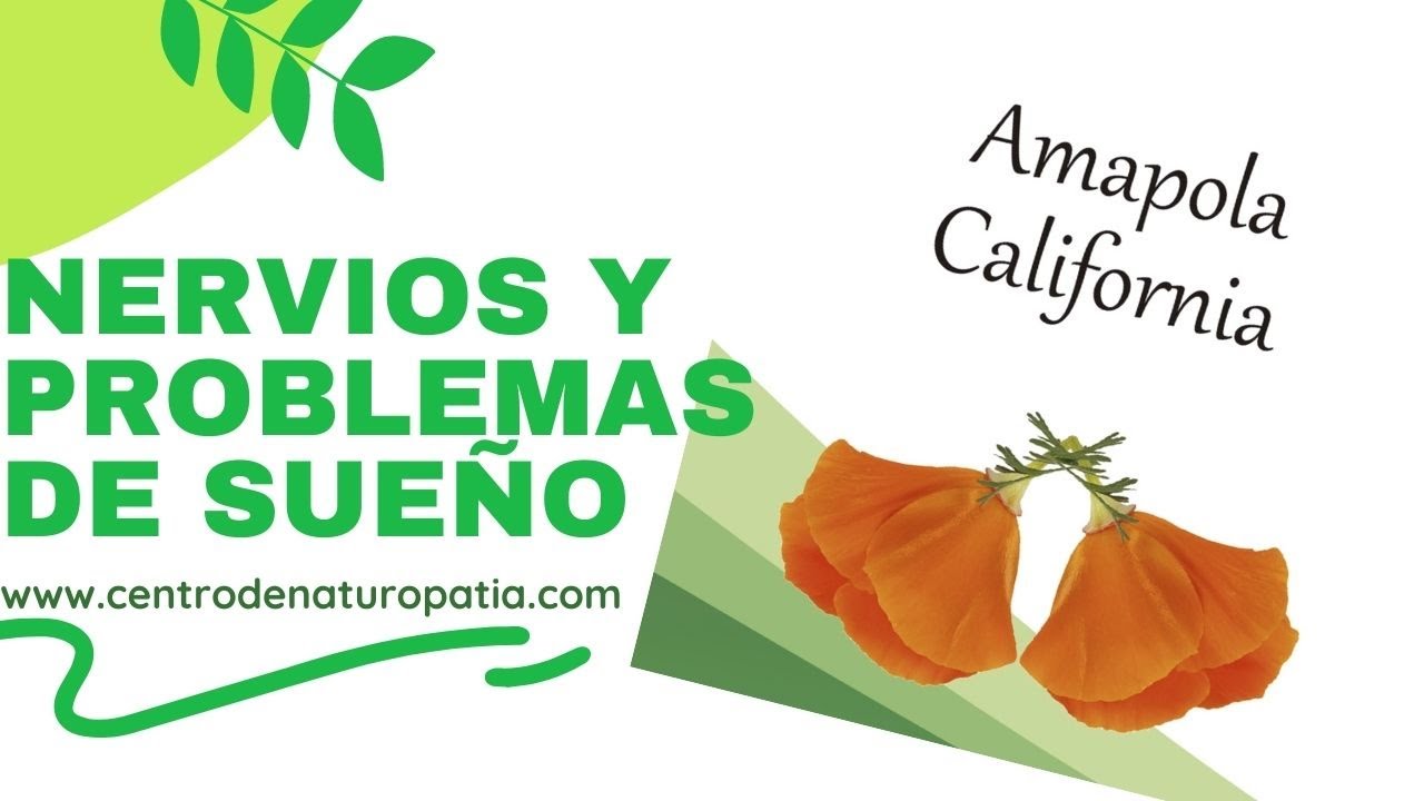 🌼🌼🌼AMAPOLA DE CALIFORNIA🌼🌼🌼Problemas de nervios😖😖😖 y de SUEÑO 😴😴😴, la planta ideal.💚💚💚